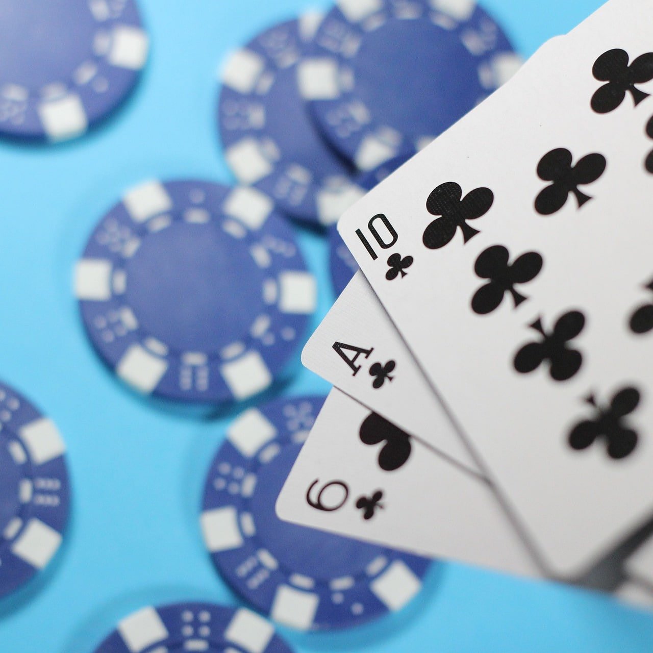 winbet 365